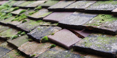 The Bryn roof repair costs